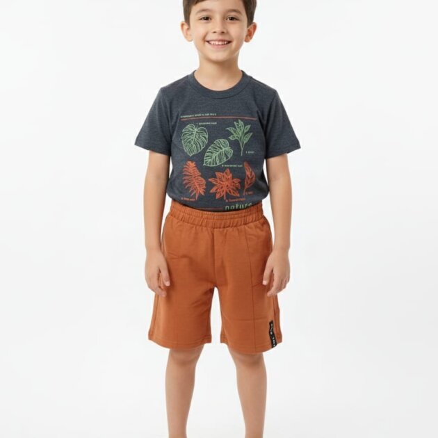 Conjunto folhas diversas