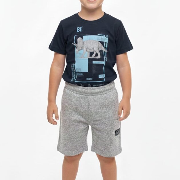 Conjunto triceratops MA