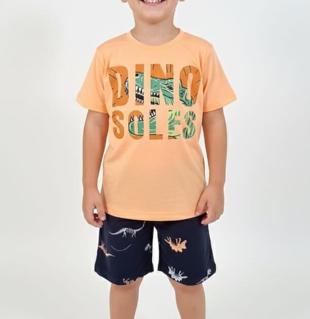 Conjunto dino soles