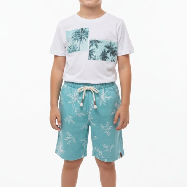 Conjunto coqueiro praia