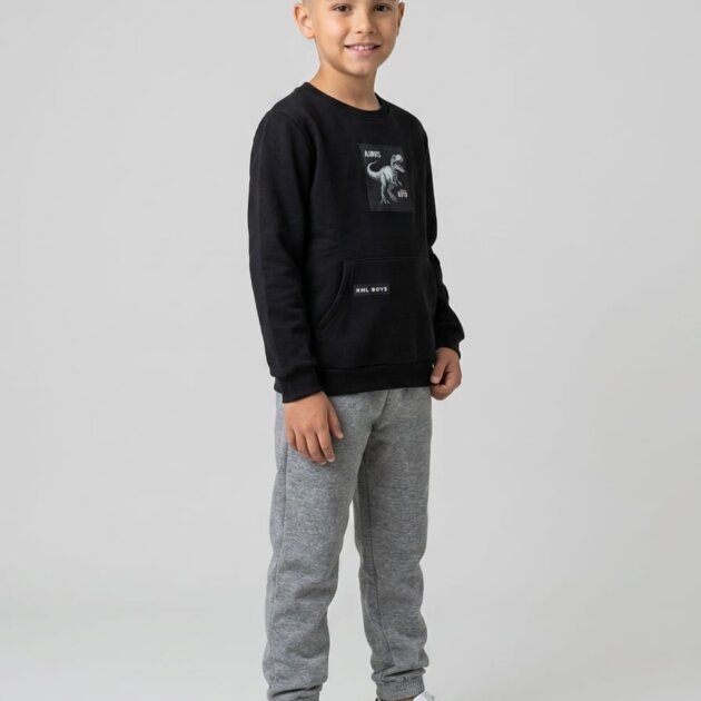 Conjunto Dinossauro